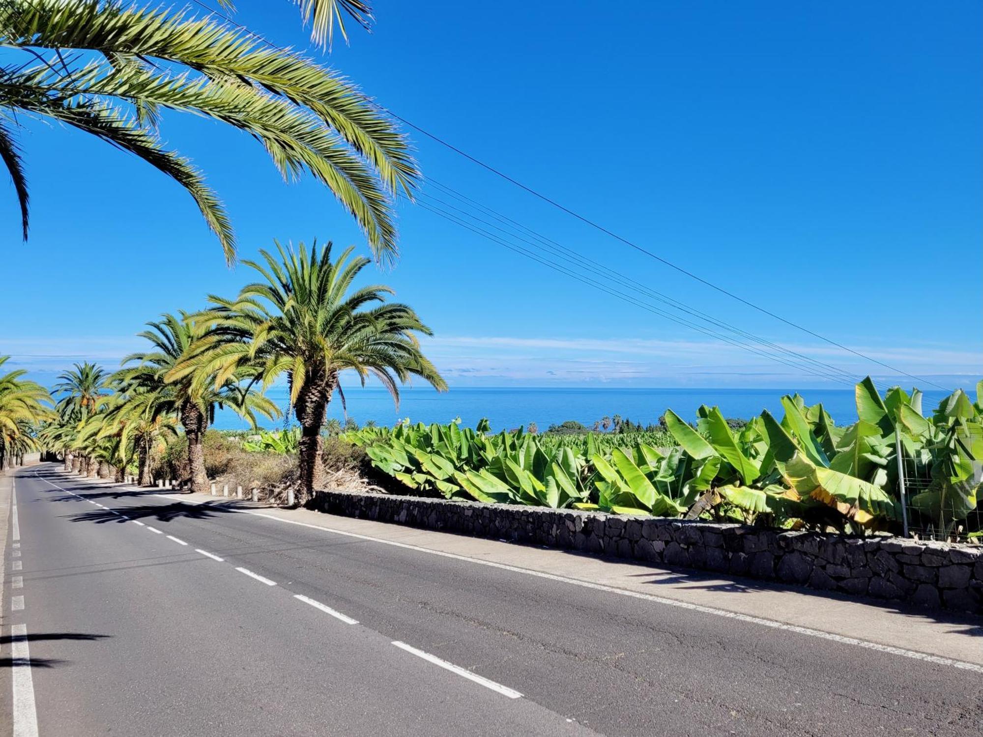 Casa Rural - Playa. Situada En Un Entorno Natural. La Orotava Esterno foto
